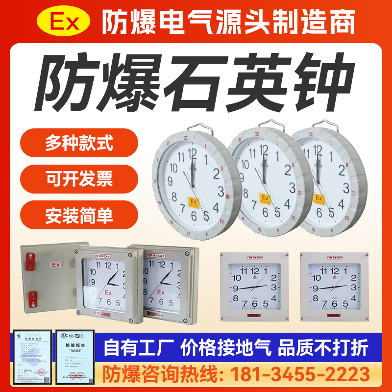 防爆鐘表掛鐘石英鐘電子鐘BSZ醫藥化工鐘