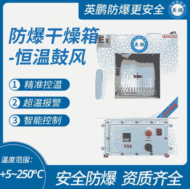 防爆恒温鼓风干燥箱 70升