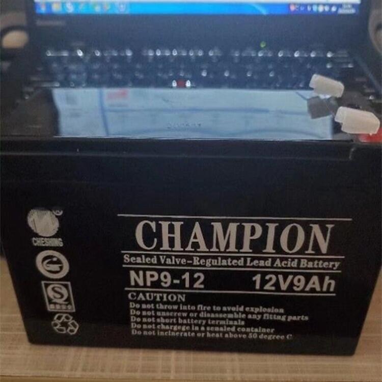 CHAMPION蓄电池NP7-1212V7AH送货上门