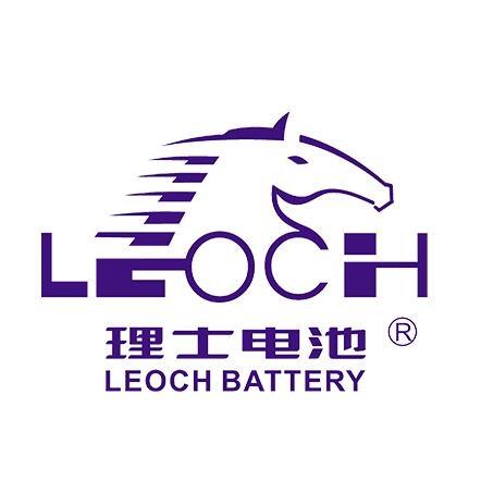 理士LEOCH蓄电池DJM6180S 6V180AH5G通信专用