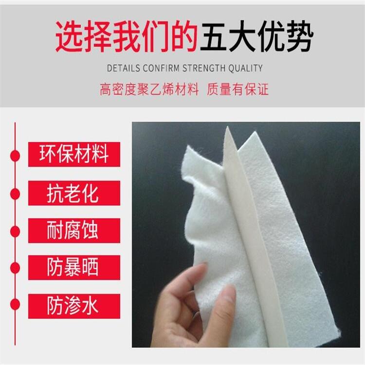 防滲復(fù)合土工膜 HDPE土工膜廠家直銷 高密度聚乙烯土工膜