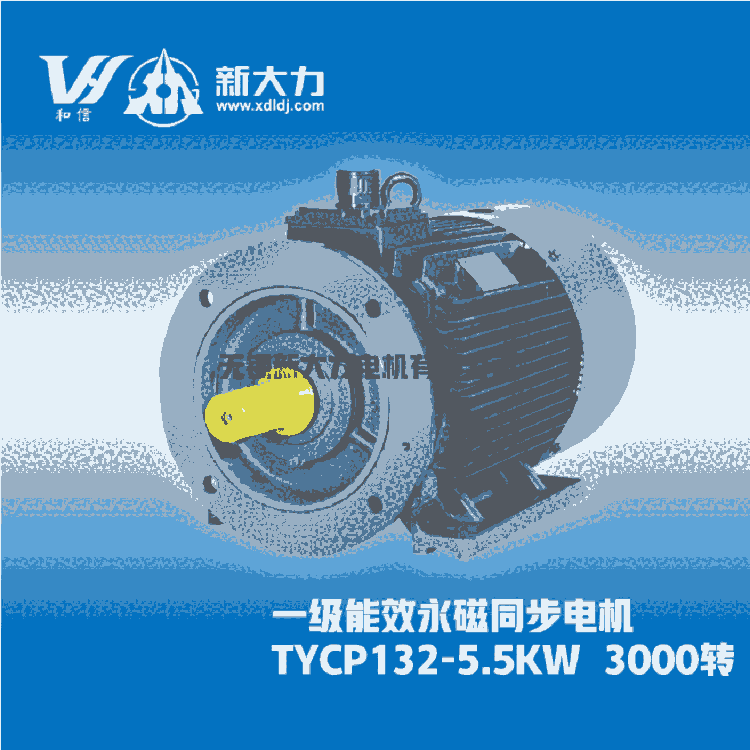 新大力电机 一级能效 稀土永磁变频同步电动机 TYCP160-8-11KW/3000