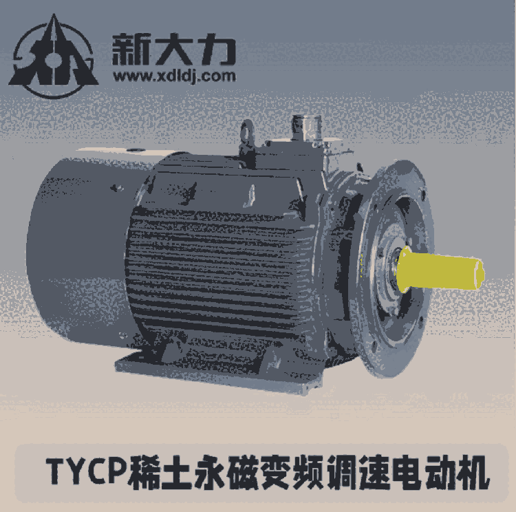 永磁电机  TYCP 新大力 变频调速电机 厂家直销