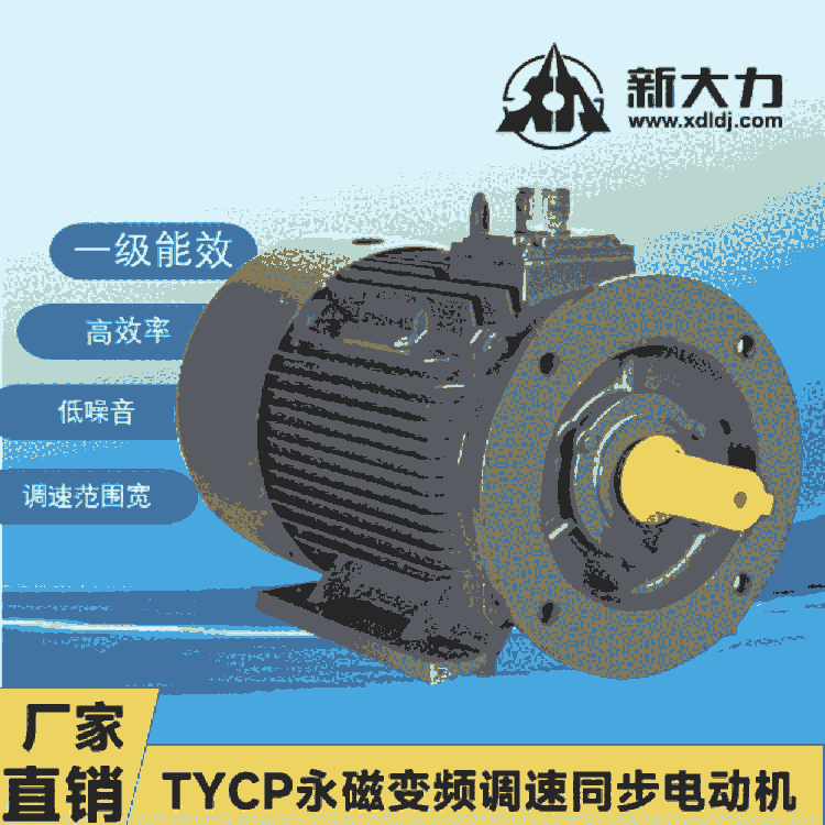 新大力 一级能效 稀土永磁变频同步电动机 TYCP160-8-15KW 1000转