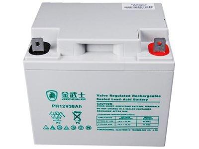 金武士电源PW38-12.12v38ah原装正品