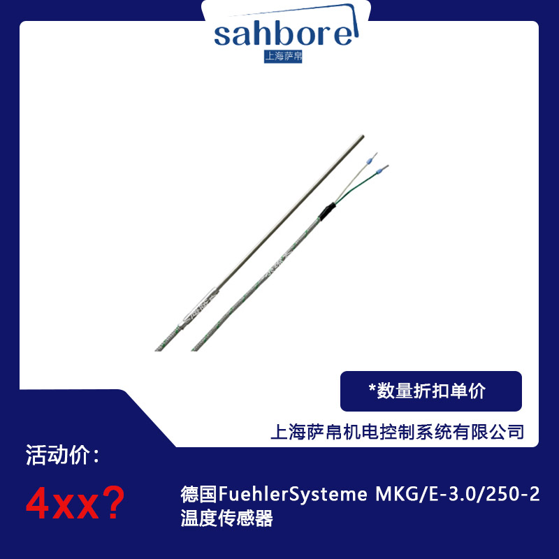 德国FuehlerSysteme MKG/E-3.0/250-2温度传感器