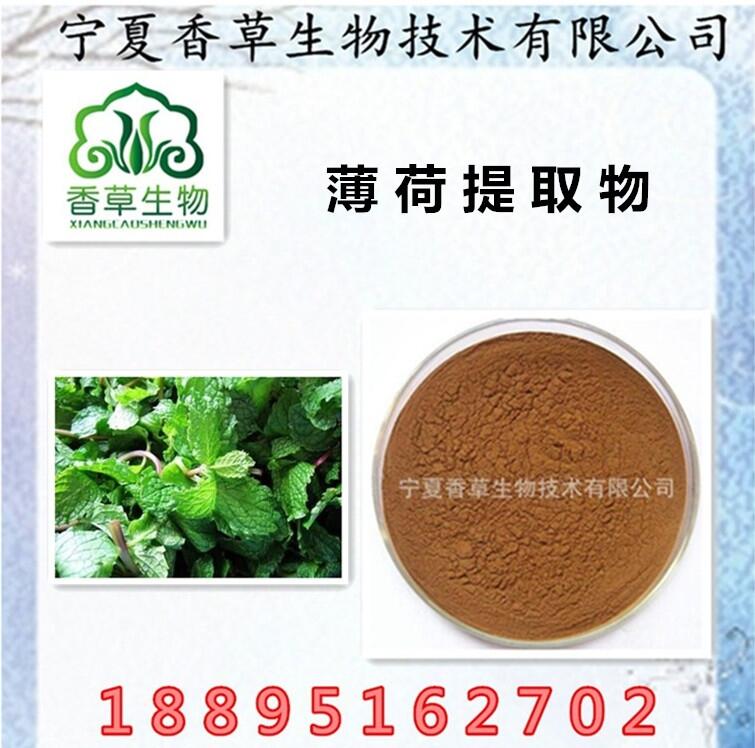 薄荷提取物10:1 薄荷黄酮 薄荷粉价格 薄荷浓缩粉全水溶