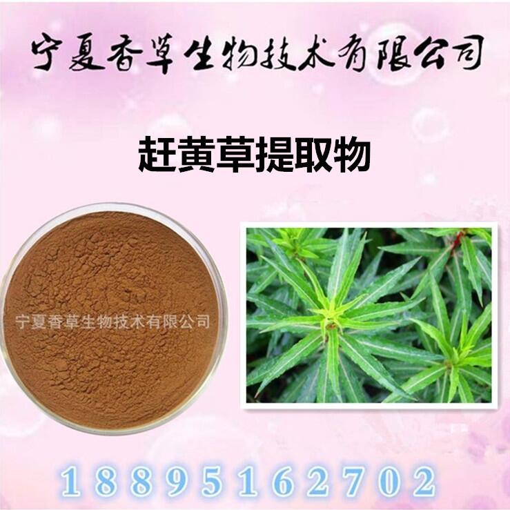 赶黄草提取物 20：1 扯根菜速溶粉 赶黄草浓缩粉 承接贴牌加工