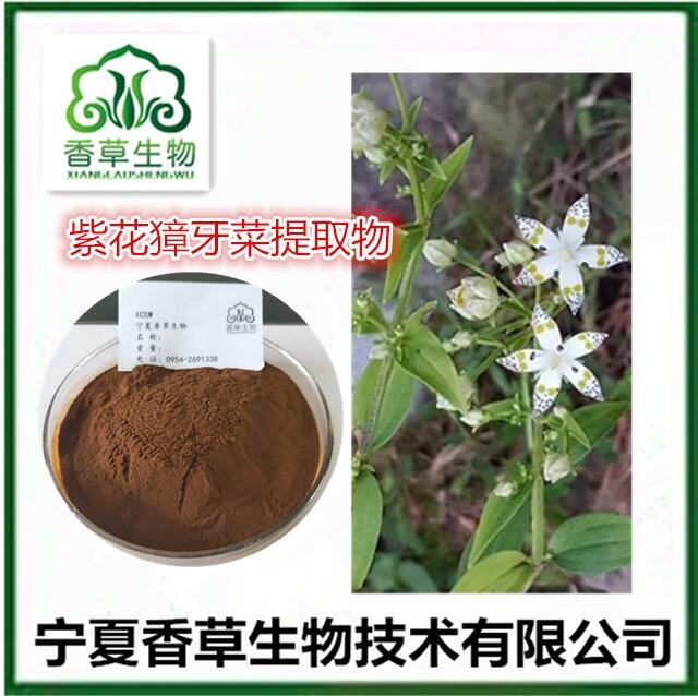 紫花獐牙菜提取物10:1 獐牙菜苦苷98% 當(dāng)藥苦甙4 獐牙菜多糖 瘤毛獐牙菜濃縮浸膏粉