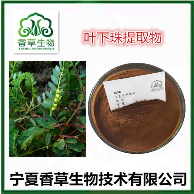 葉下珠提取物10:1 珠仔草全粉? 含羞草黃酮 ?假油甘浸膏 龍珠草濃縮液?