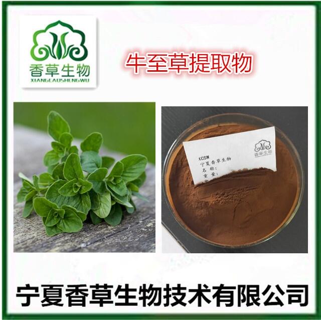 牛至葉提取物 小牛至葉速溶粉 牛至草黃酮 ?甘牛至草浸膏 土香薷濃縮液? 