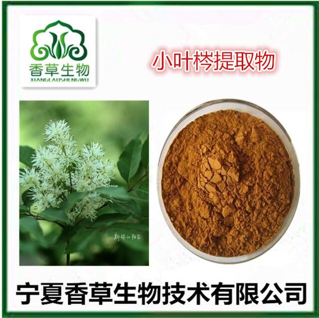 小葉梣提取物10:1 秦皮粉80目 中藥材秦皮提取物 梣樹皮浸膏