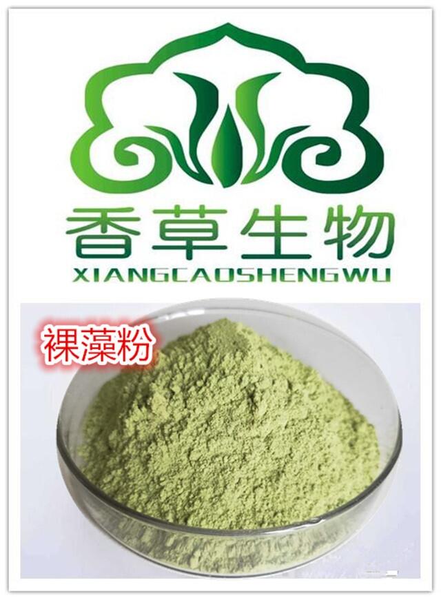 裸藻多糖50% 裸藻蛋白肽粉70% 裸藻膳食纖維粉 裸藻葉綠素 裸藻提取物10:1