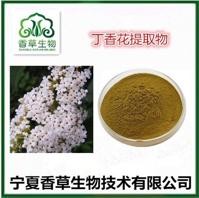 丁香花提取物 丁香葉速溶粉 丁香籽濃縮浸膏 丁結(jié)超微粉300目 百結(jié)花香料原料