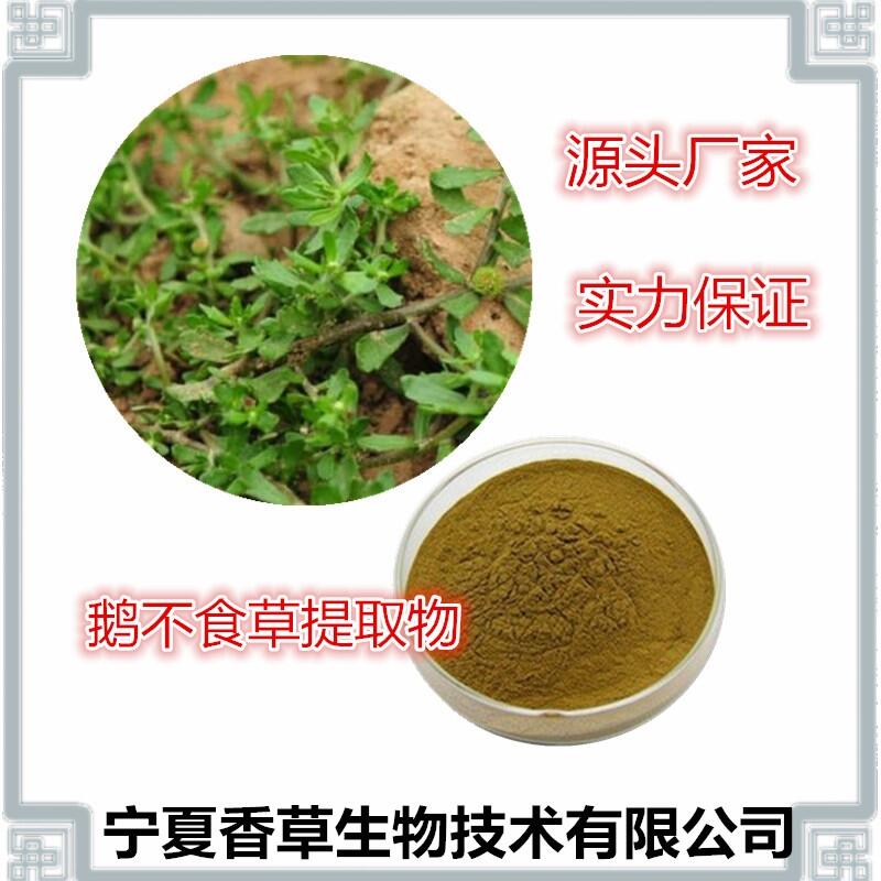 石胡荽提取物20:1 鵝不食草粉 地胡椒濃縮浸膏 三芽戟噴霧干燥粉