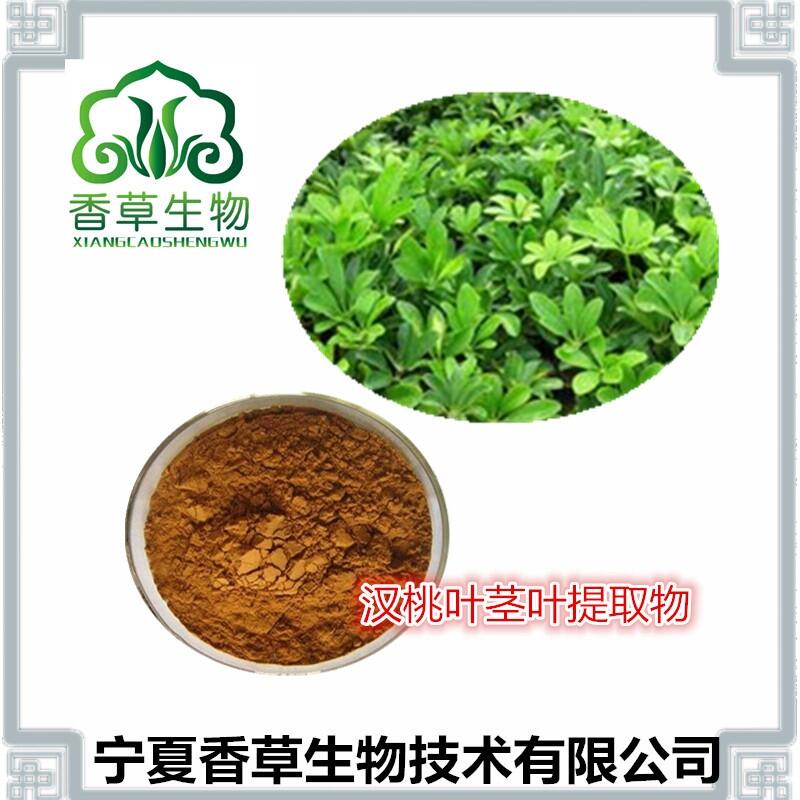 漢桃葉提取物15:1 七葉蓮莖葉噴霧干燥粉 漢桃葉莖葉濃縮浸膏 