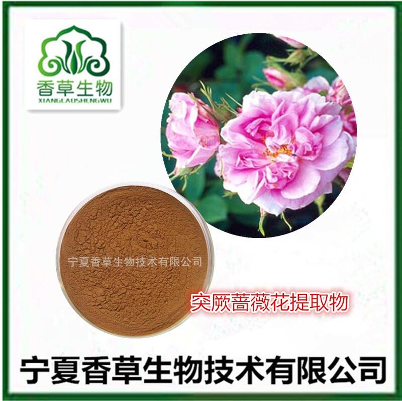 突厥薔薇花提取物20:1 薔薇花浸膏粉100目 突厥薔薇花精油 薔薇花精油萃取