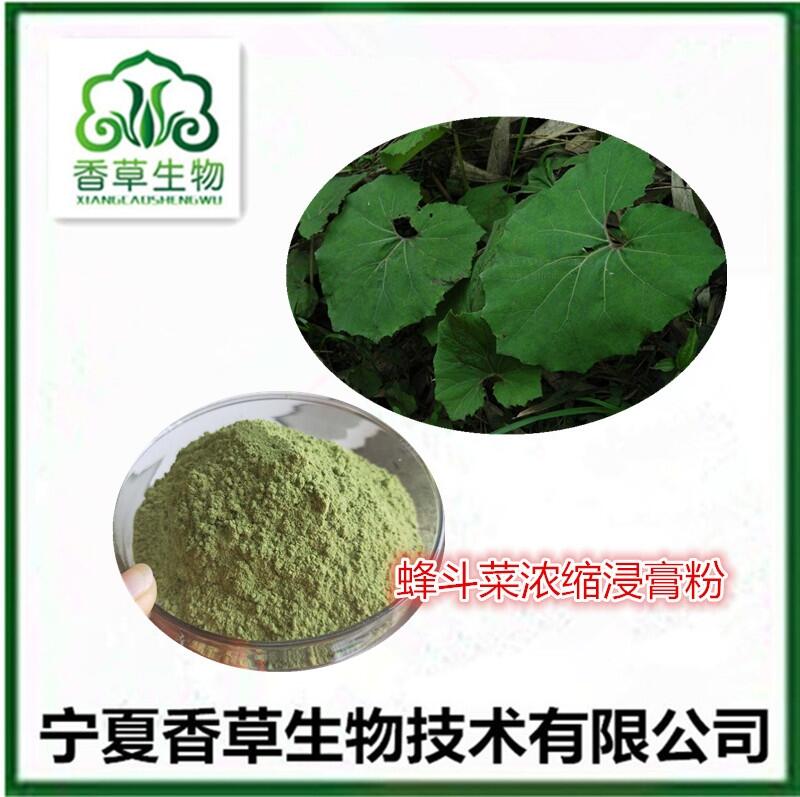 蜂斗菜提取物50:1蛇头草粉 蜂斗菜速溶粉100目 蜂斗菜嫩芽膳食纤维 蜂斗菜浸膏