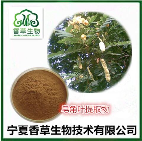 皂角葉提取物25:1 皂角樹皮濃縮浸膏批發(fā) 皂角葉水溶粉 皂角葉粉供應(yīng)商