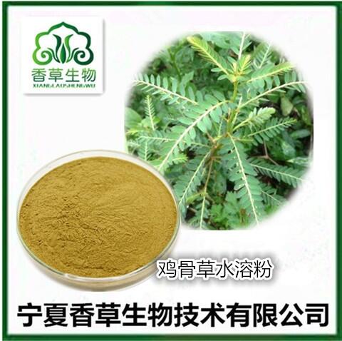 鸡骨草提取物25:1 黄头草粉 大黄草水溶粉 猪腰草浓缩浸膏批发