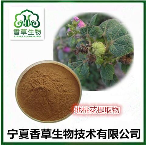 地桃花提取物 濃縮粉生產(chǎn)商 供應(yīng)地桃花粉100目 野棉花全水溶粉批發(fā) 