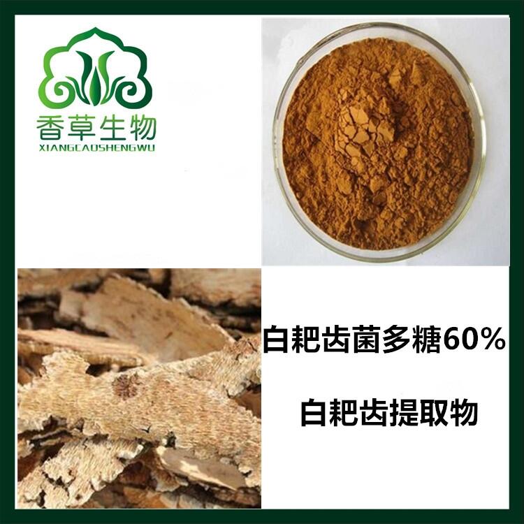 白耙齿菌多糖60% 白耙齿提取物 浓缩粉水溶性 白耙齿菌粉价格