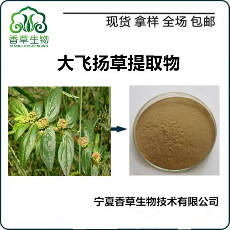 大飛揚(yáng)草提取物一手貨源 飛揚(yáng)草粉價(jià)格 濃縮粉水溶性 節(jié)節(jié)花浸膏