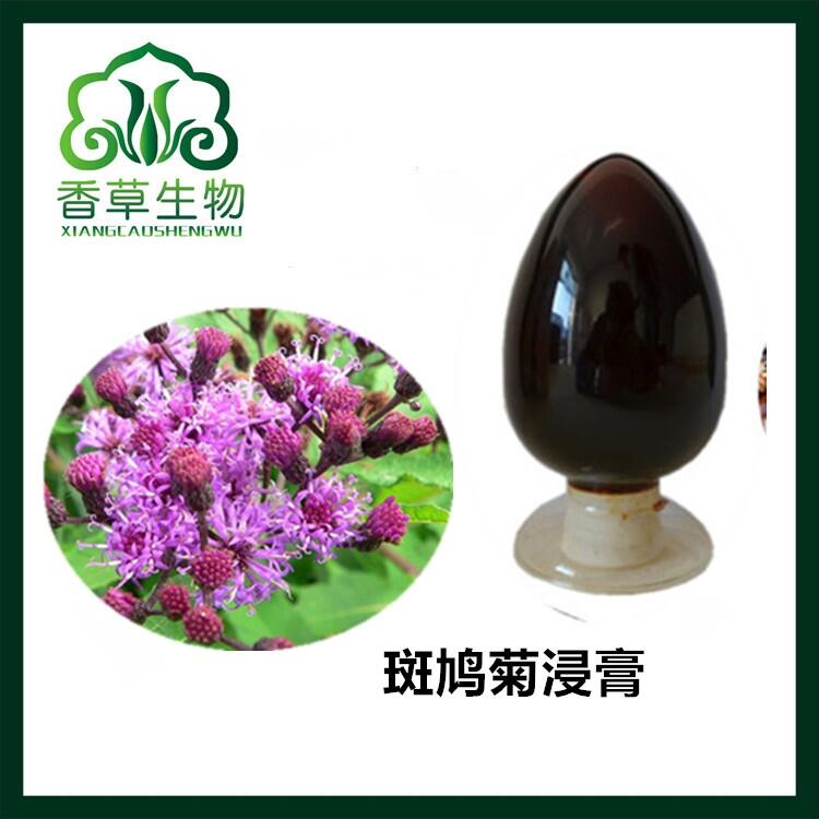 斑鳩菊浸膏批發(fā) 斑鳩菊提取液 流浸膏供應(yīng) 火炭樹(shù)濃縮液