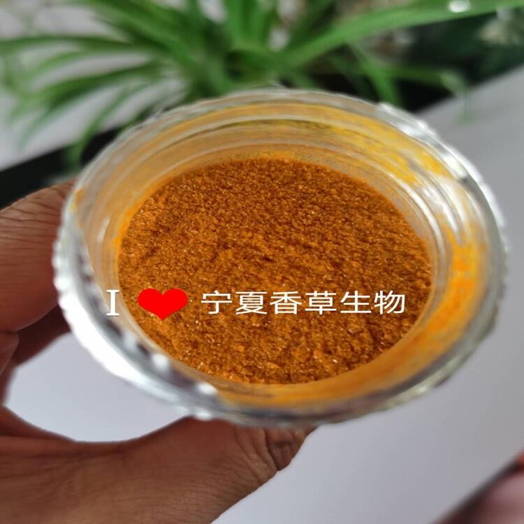 沙棘果粉 沙棘汁粉 沙棘果汁粉 濃縮汁粉 沙棘速溶粉