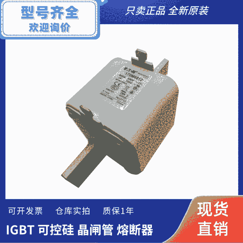 BUSSMANN巴斯曼快速熔斷器170M6811 690V	700A 保險絲管底座