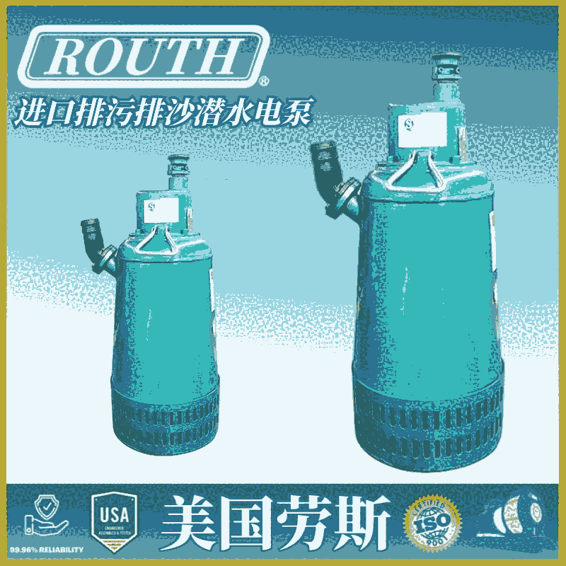 進口排污排沙潛水電泵 污水污物 抽沙泵 不銹鋼 噴泉 BQS 美國勞斯ROUTH