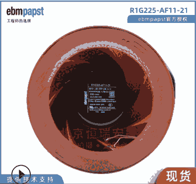 德國ebmpapst R1G225-AF11-21 直流48V 95W 空氣凈化器 新風風扇