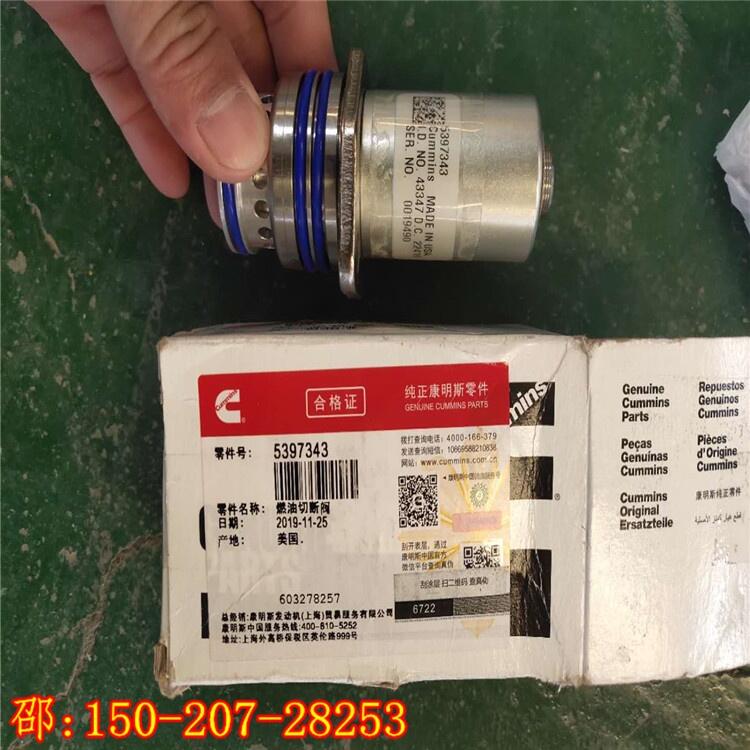 新昌縣179901切斷閥-QSL燃油電磁閥VALVE,SHUTOFF