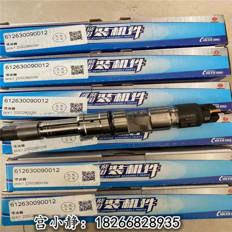 铲车50装载机WP10G220E341潍柴喷油器1000400254