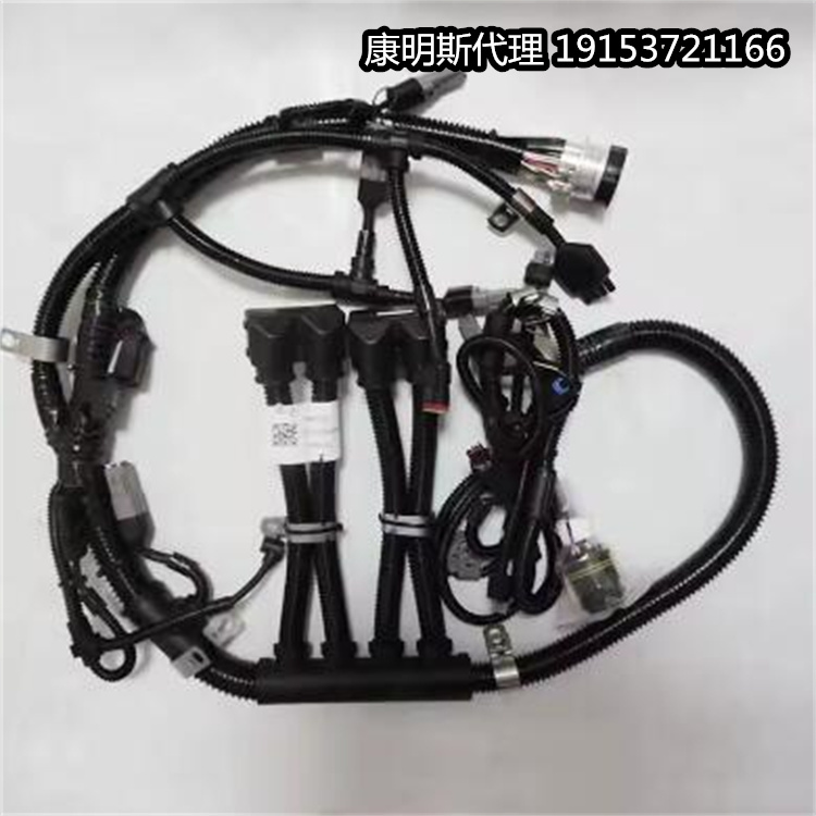 HARNESS,ETR CNT MDL WRG 康明斯发动机4974516线束