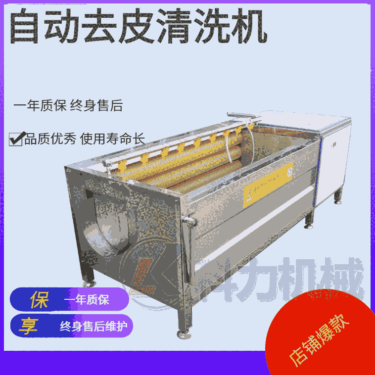 红薯地瓜自动清洗机 毛辊去皮清洗机土豆去皮机