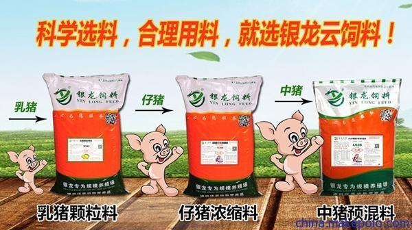 非常具有性價(jià)比的乳豬顆粒料