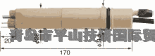 HORIBA堀廠塑料本體 ORP 傳感器 6870-60B 