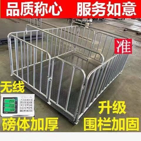 加厚地磅称猪地磅尺寸可定制