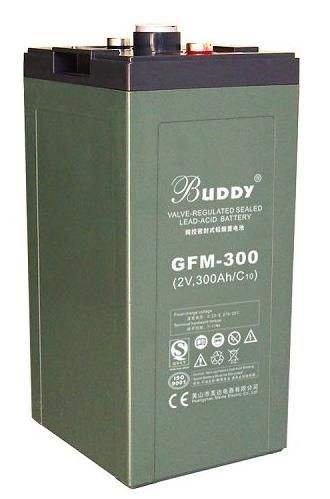 BUDDY蓄电池6-GFM-65质量保证