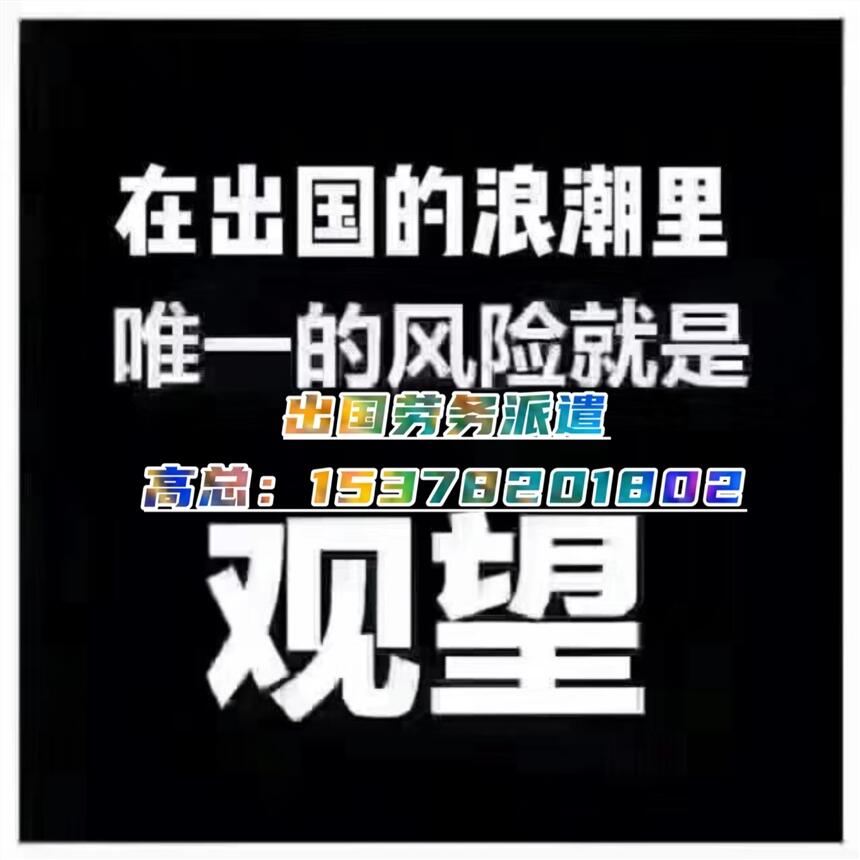 出国打工有无技术均可报名多工种招工出国劳务