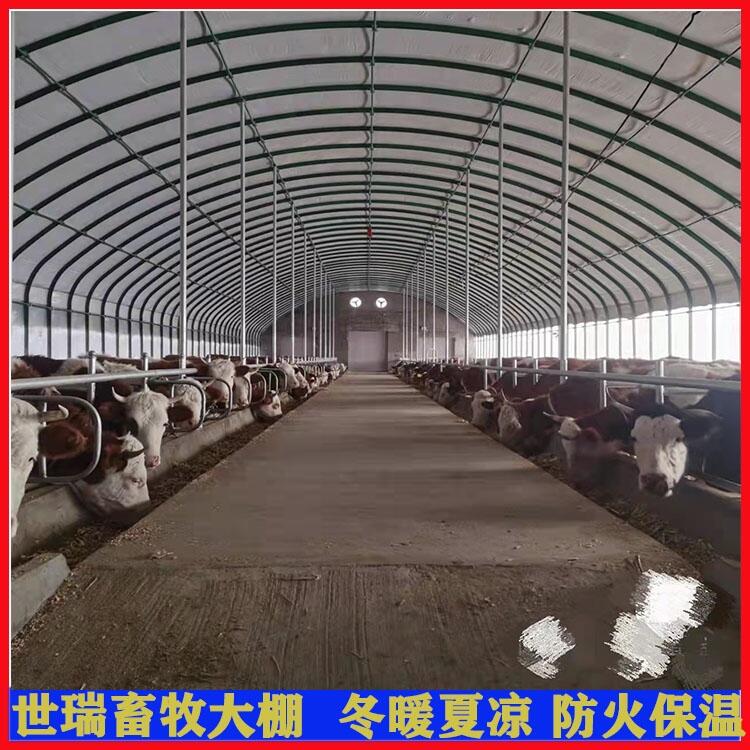 牛舍大棚建设 养牛场牛棚设计搭建 肉牛养殖棚生产安装厂家