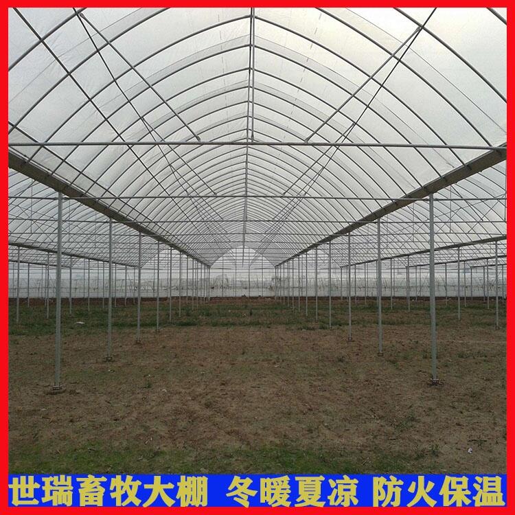 西瓜大棚建設(shè) 大棚鋼管材料批發(fā) 蔬菜種植大棚建設(shè) 大棚膜施工安裝