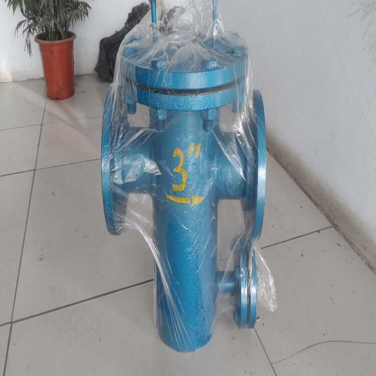 DN200蓝式过滤器孔径