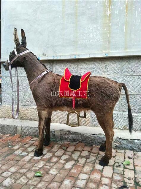 仿真野驢生態(tài)模型展廳植毛仿真毛驢標本