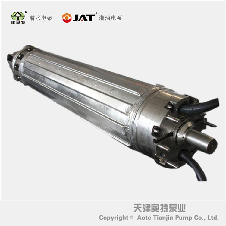 JQS三相異步潛水電機(jī) 大功率 特殊電壓 不銹鋼材質(zhì) 防腐蝕 廠家直發(fā)