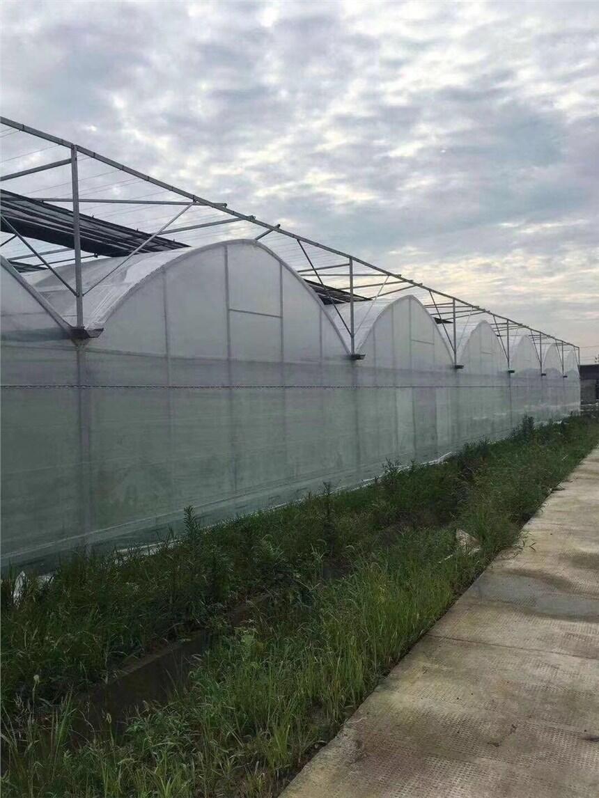 温室大棚供应商8米钢管大棚
