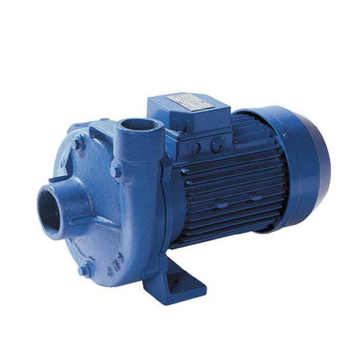 意大利 GMP PUMPS 離心泵 B11/2TRL系列 1,5 千瓦