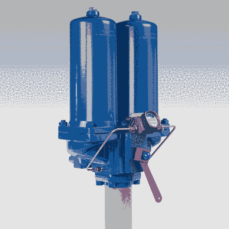 德國 FRIEDRICHS 雙過濾器 4.225 標(biāo)稱寬度：DN20