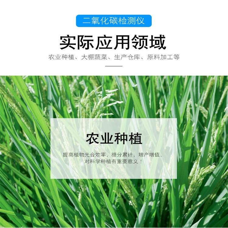 高分貝聲光co2檢測(cè)儀 發(fā)貨快